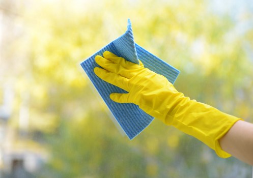 Steam carpet cleaning equipment in a Richmond home