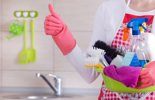 Removing lingering pet stain smells from upholstery in Richmond