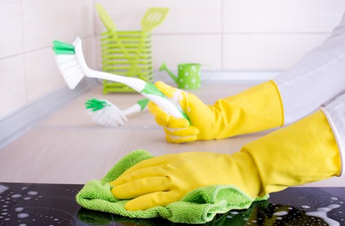 Stain and odor removal during carpet steam cleaning