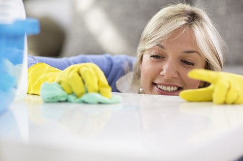 Stain and odor treatment during rug cleaning in Richmond
