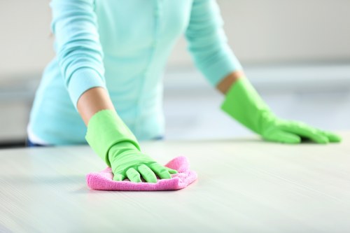 Fresh clean home after pet stain odour removal service in Richmond