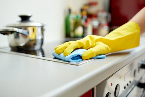 Professional Richmond carpet cleaners presenting a clean and fresh interior
