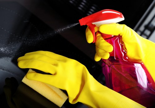 Carpet deodorizing and extraction for pet stain odour removal in Richmond