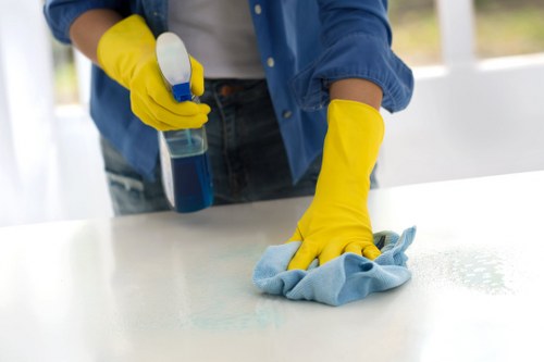 Local carpet cleaning team in Richmond focusing on quality and precision